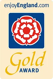 gold award